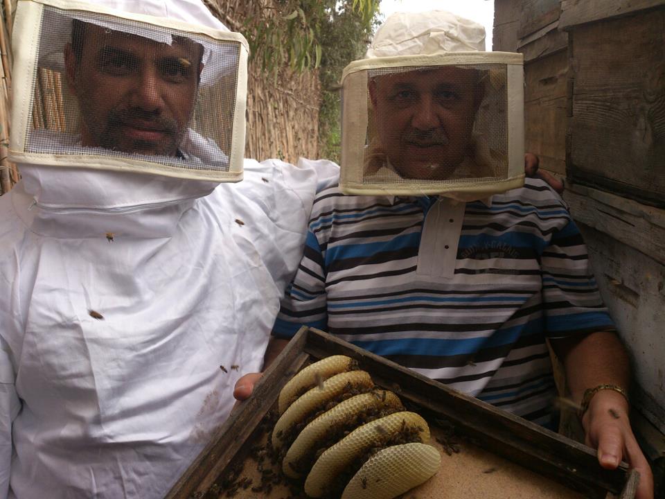 مناحلنا
